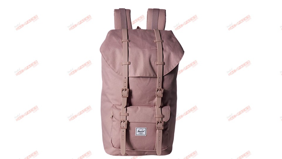 Best Backpacks for Work
