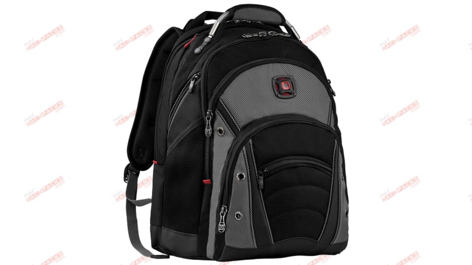 Best Professional Backpack