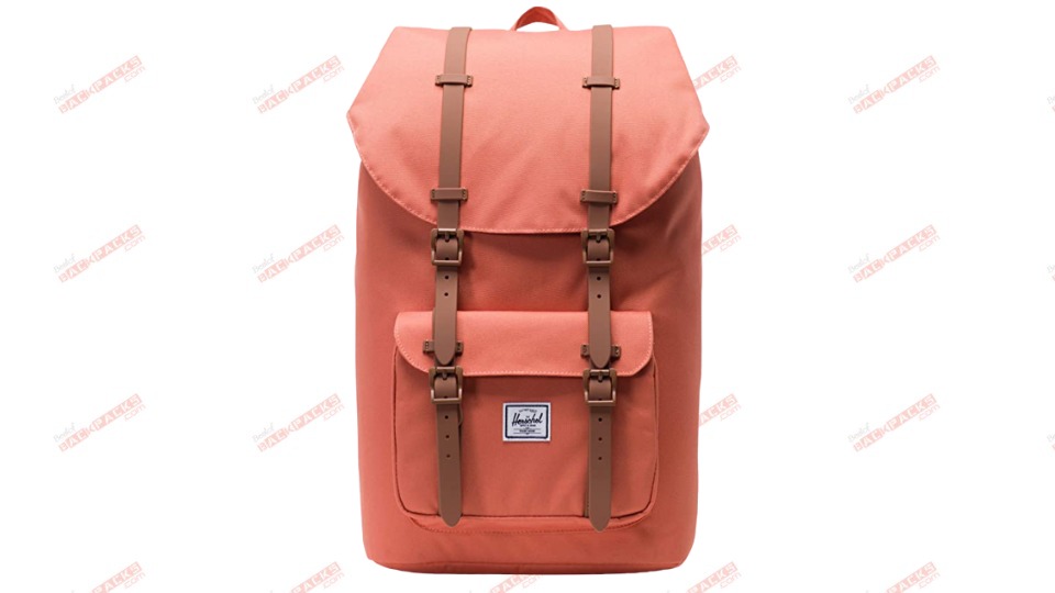 Best Laptop Backpacks for Women