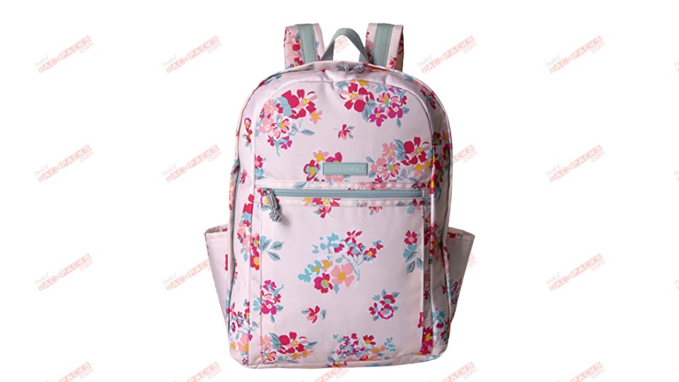 Best Laptop Backpacks for Women