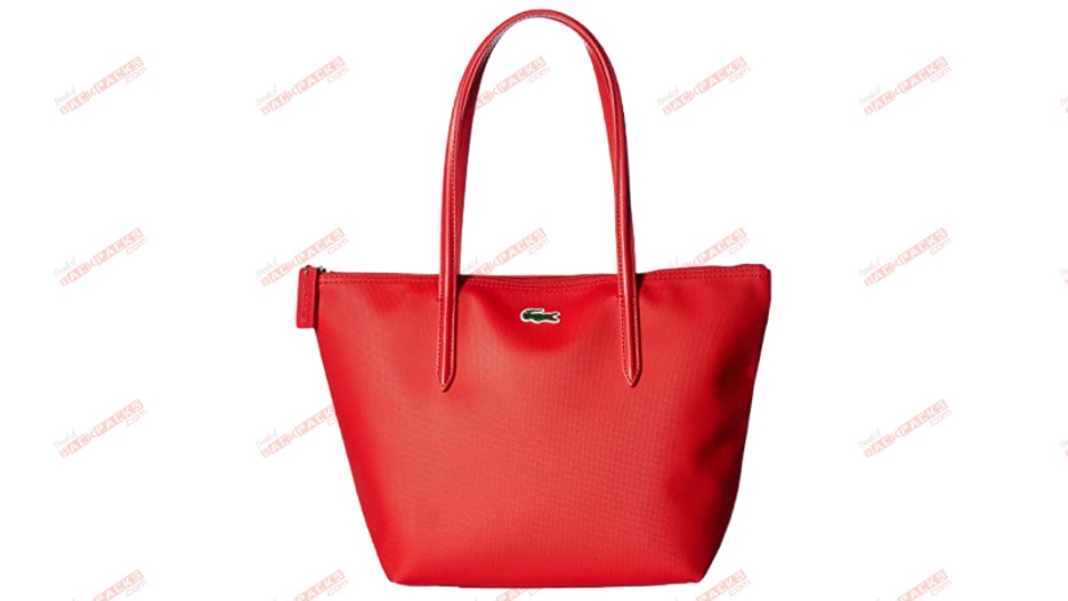 Best carry on tote for international travel
